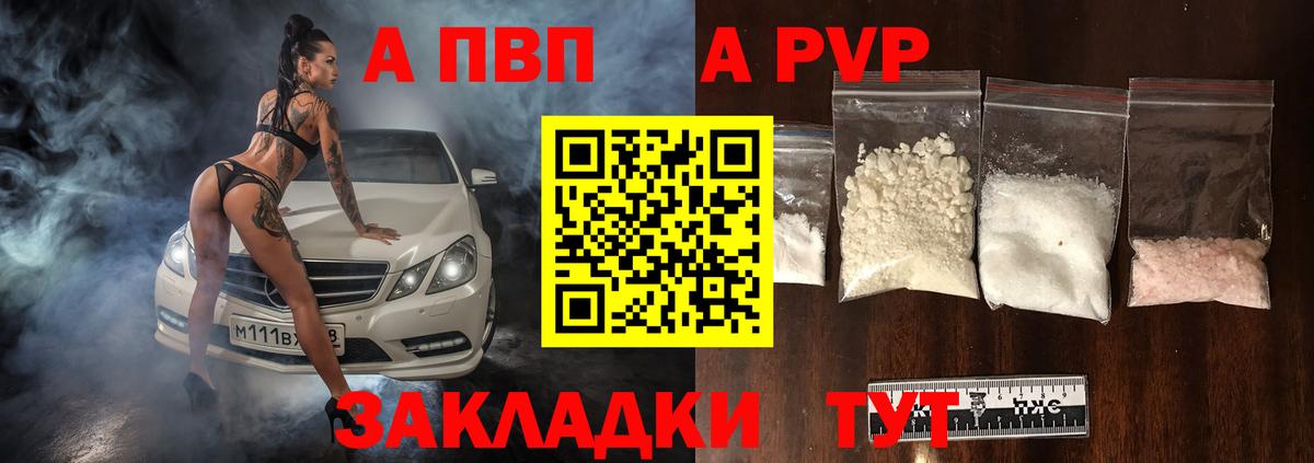 Alfa_PVP СК Саратов