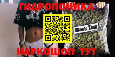 первитин Новодвинск