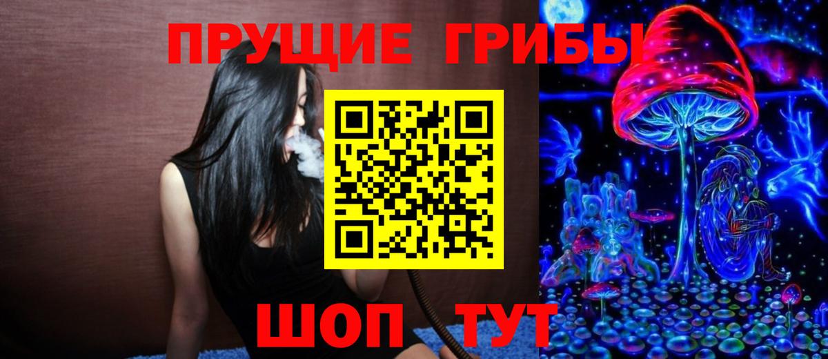 Галлюциногенные грибы Psilocybine cubensis  Псилоцибиновые грибы ЛСД  Вход с VPN  Саратов 